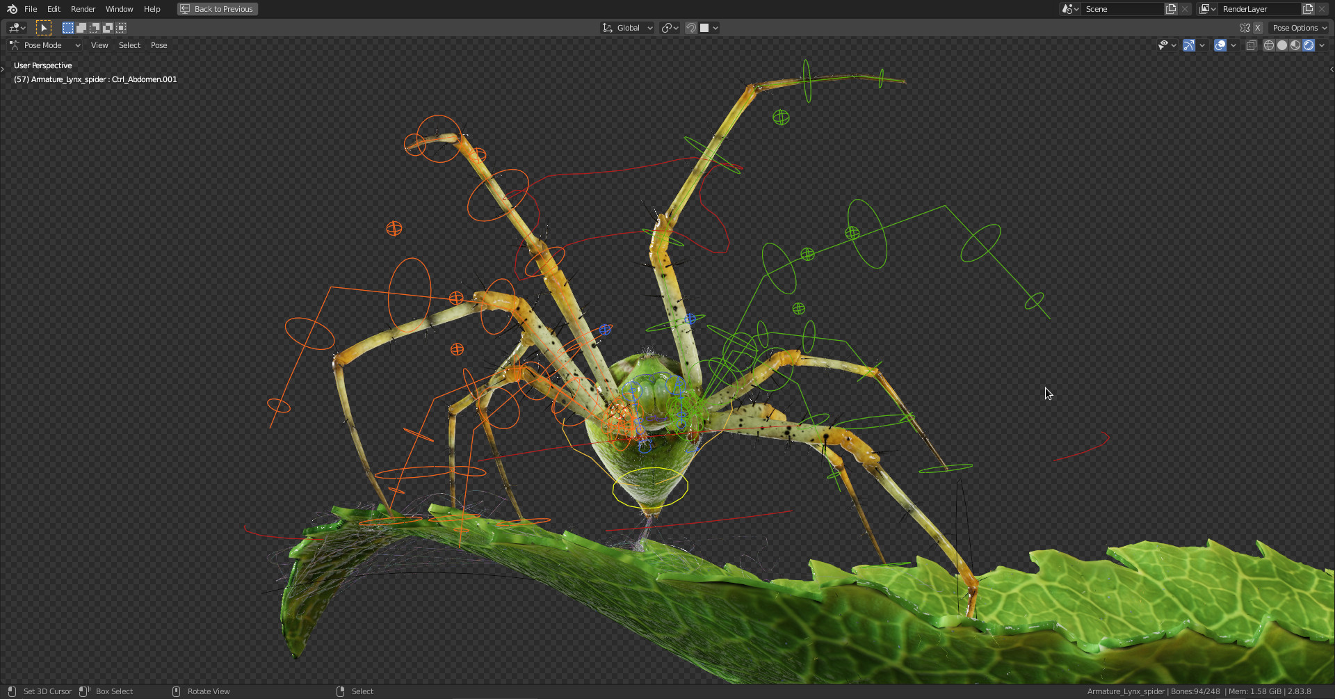 images/graphisme-3d/animaux/lynx_spider