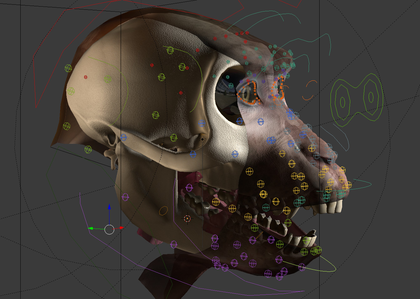 /images/graphisme-3d/animaux/macaque/screenshot_macaque-28